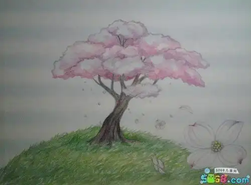 彩铅画樱花树手抄报手抄报版面设计图