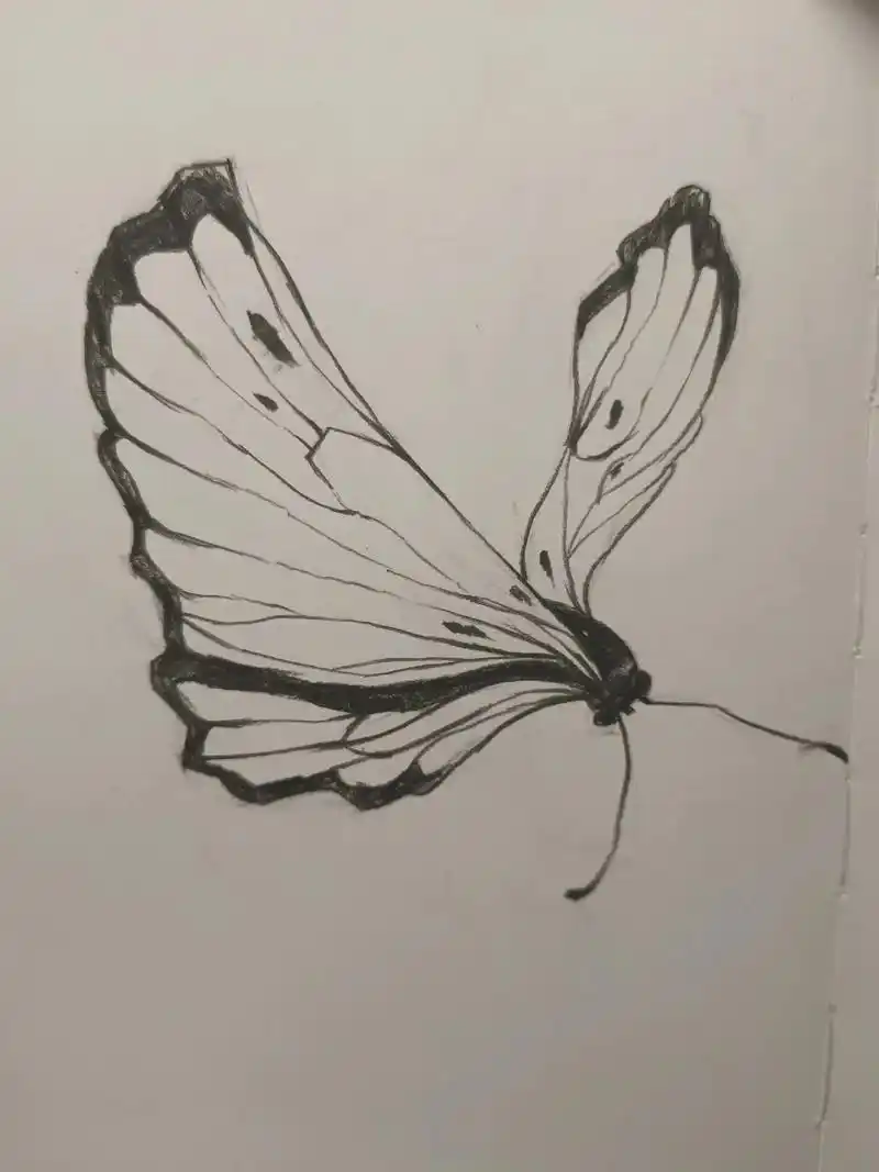 临摹手绘 #蝴蝶  - 抖音