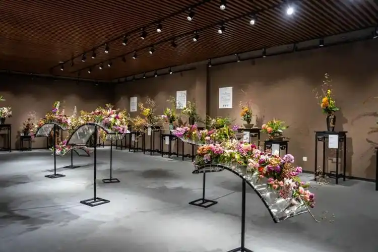 疫情后首次大型花展今天深圳人的朋友圈被这片花海刷屏了