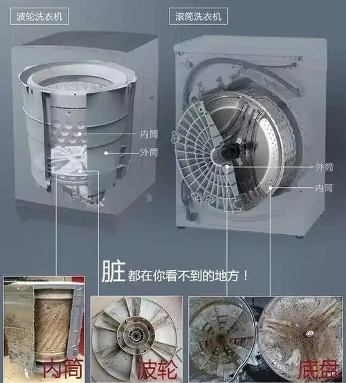 带你看看王丽坤住的豪宅,进门才知温馨,不愧是素颜女神