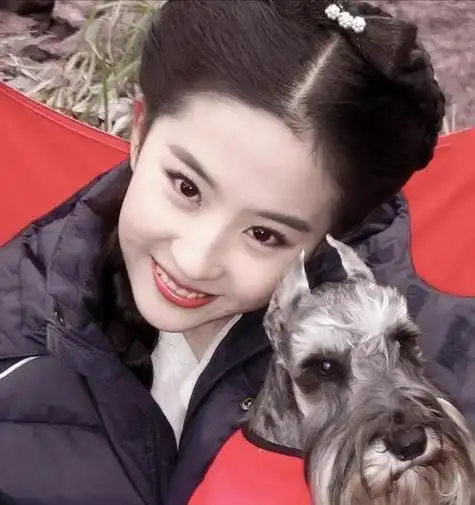 刘亦菲头像都给我进来看仙女