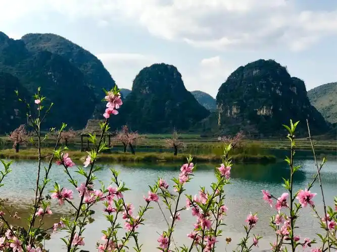 三生三世十里桃花