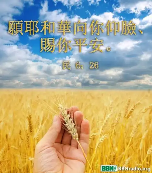 春暖花开,爬山锻炼