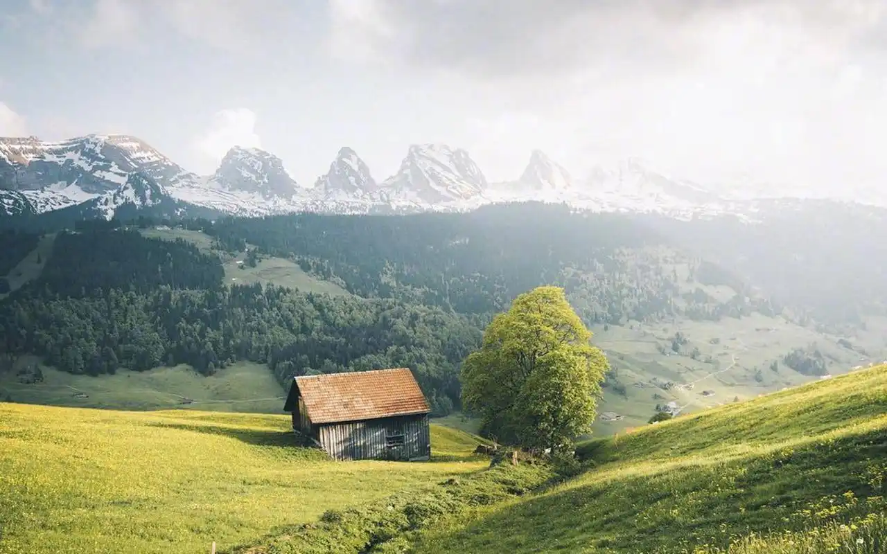 静谧养眼山水风光高清桌面壁纸,风景壁纸,养眼,唯美,高清,森林,自然