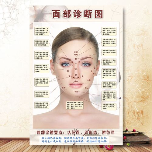 人体面部穴位图经络美容院脸部按摩中医养生图片挂图刮痧面诊海报