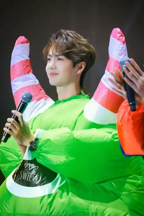 王一博 绿色小怪物 甜甜