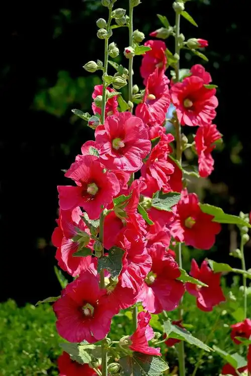 1200_1800竖版 竖屏