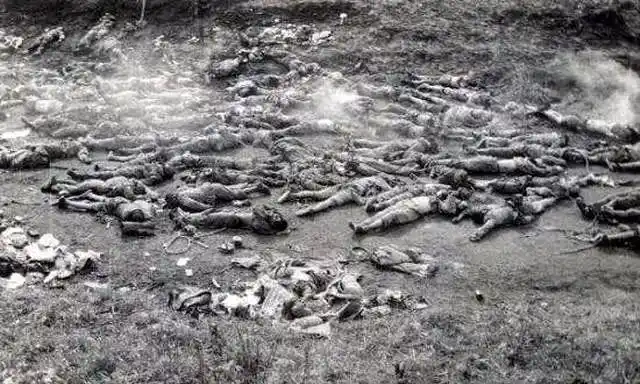 《红海行动》丨无畏无惧,只因使命在身