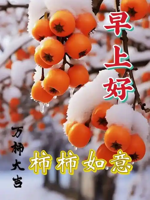 11月21日最新早上好动态表情图片大全,早晨好动图美图大全_问候_祝福