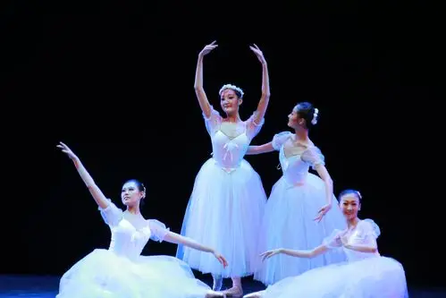 高雅艺术进校园—辽宁芭蕾舞团专场演出在我校举行