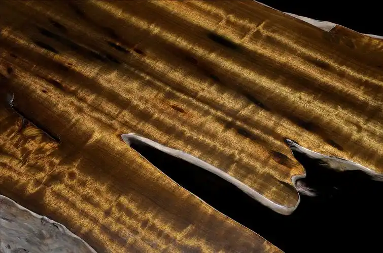 楠寻——20年专注于生产加工金丝楠家具乌木阴沉木摆件茶盘的生产厂家