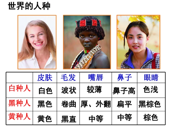 沪教版六年级下册全球篇4人口资源与环境42世界的人种宗教和语言共44