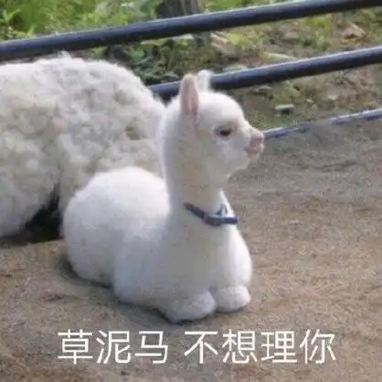 近期斗图表情包精选20191019