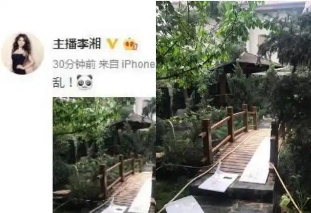 据传李湘身家已达五千亿细看她资产来源一切似乎都在情理之中