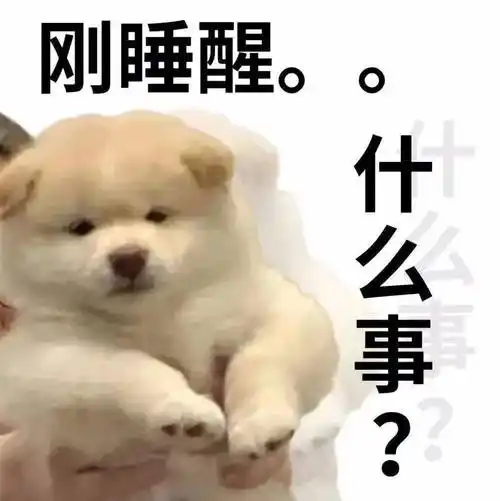 热门微信动态表情包:气呼呼