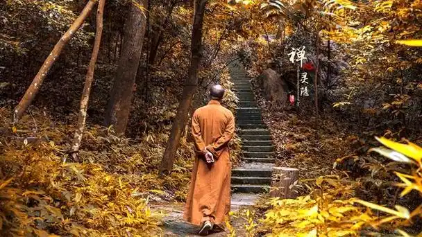 八首禅意小诗,写出人生八大境界!大彻大悟看透人生