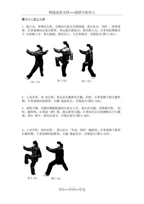 陈式74式太极拳老架一路图解中共27页