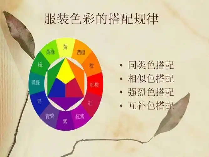 服装色彩搭配的技巧ppt