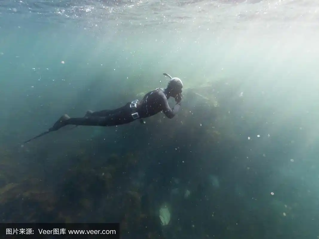 穿着潜水服在水下潜水的人