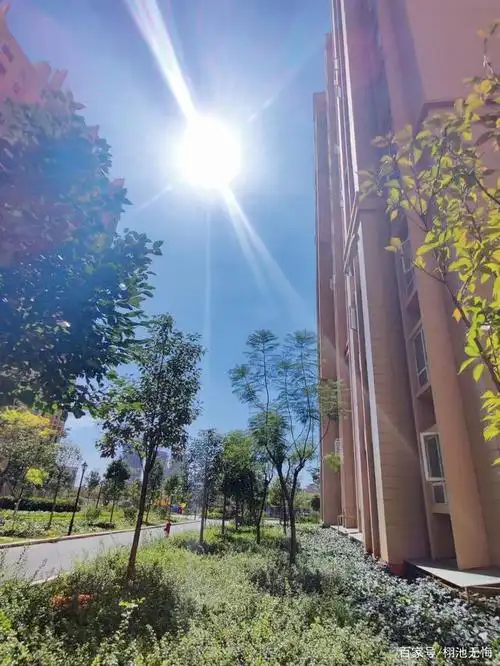 秋日久违的阳光,七彩绚丽光芒万丈