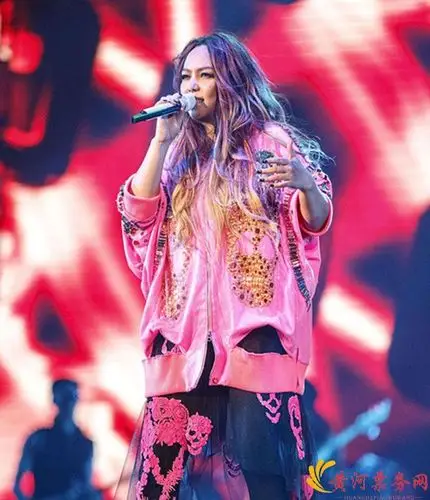 2017张惠妹上海演唱会最终场12月2930日连续两天激情奉上