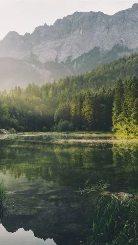 壁纸 森林,山,湖,雾,阳光 1920x1200 hd 高清壁纸, 图片, 照片
