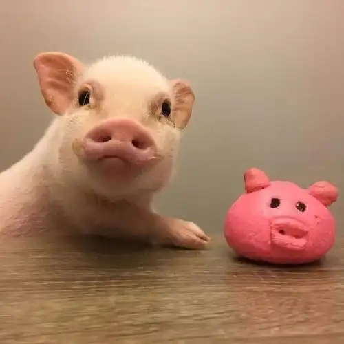 10月一到,3生肖出门遇财神,事业遇贵人,升官发财,大吉大利