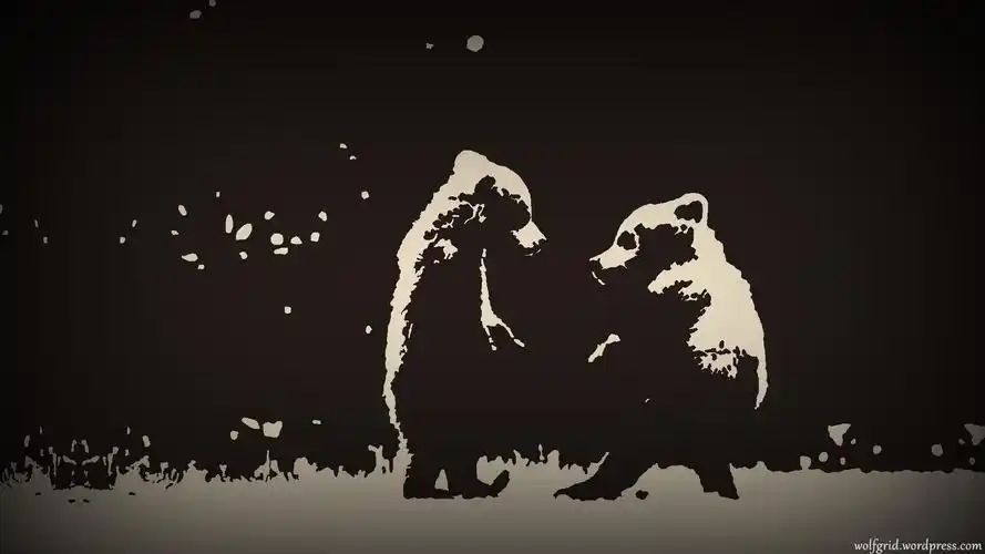 有哪些适合男生的手机电脑壁纸