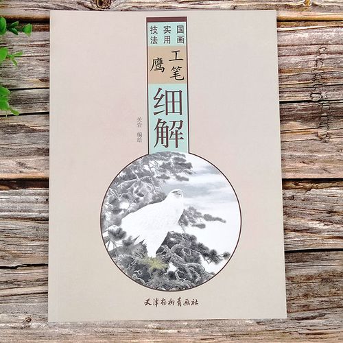 工笔鹰细解 国画实用技法 绘画基础入门技法步骤杨柳青