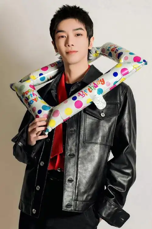 华晨宇33岁生日写真照##华晨宇超话掉落q版华晨宇