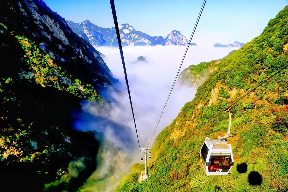 华山西峰索道云海盛宴.10月2日,华山景区云海呈现,华山西峰 - 抖音