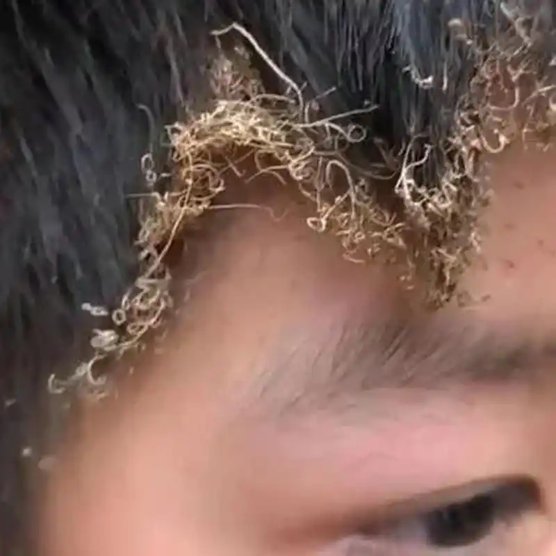 烧焦的头发是什么味道?