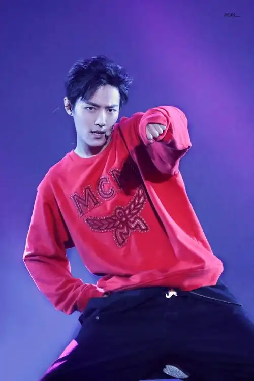 181201 x玖少年团深圳演唱会 肖战