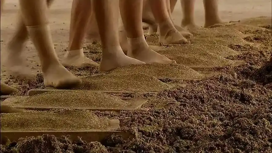 《人生致味》纪录片,其中《曲间芭蕾》就曾介绍"少女光脚踩曲"这项