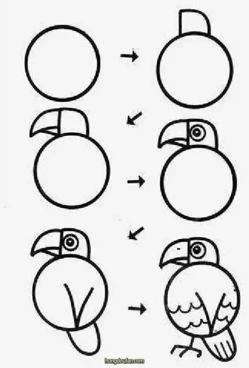 老鹰简笔画大全-红豆饭小学生简笔画大全