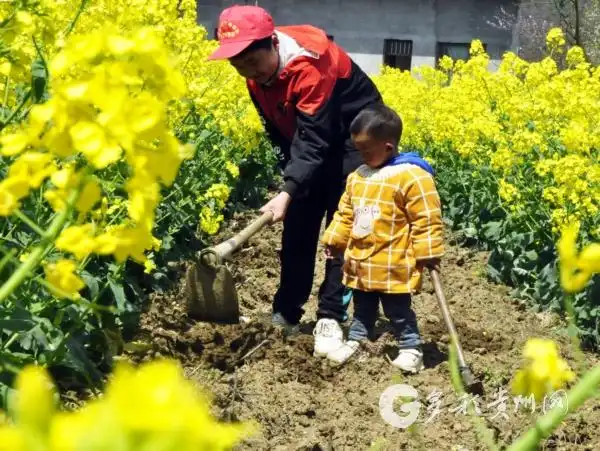 贵州黔西:春分时节萌娃学种瓜豆 体验种植乐趣