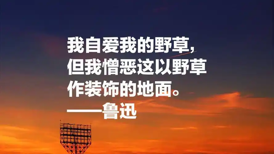记得当初语文老师曾说过这样一句话:鲁迅先生的课文,期末考试必考.