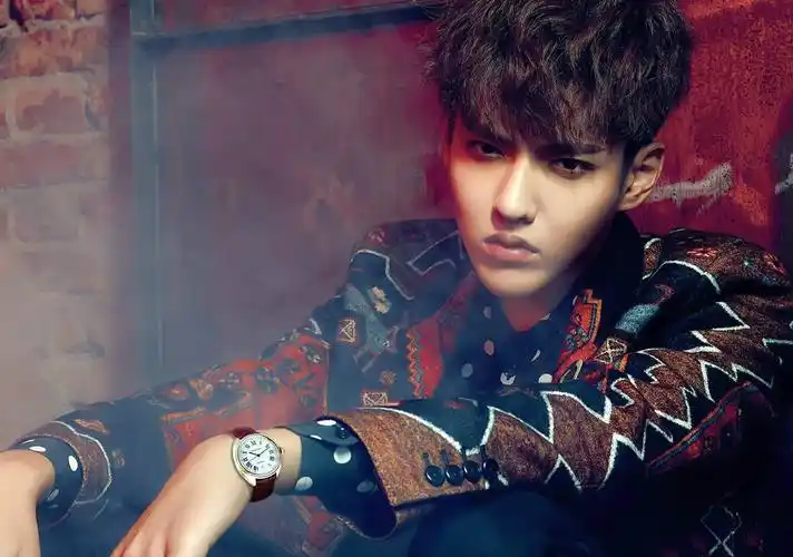 挑战者联盟/exos showtime 星夜故事秀 2009/挑战者联盟/吴亦凡最新