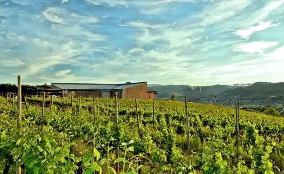 法国红酒哪个庄园好