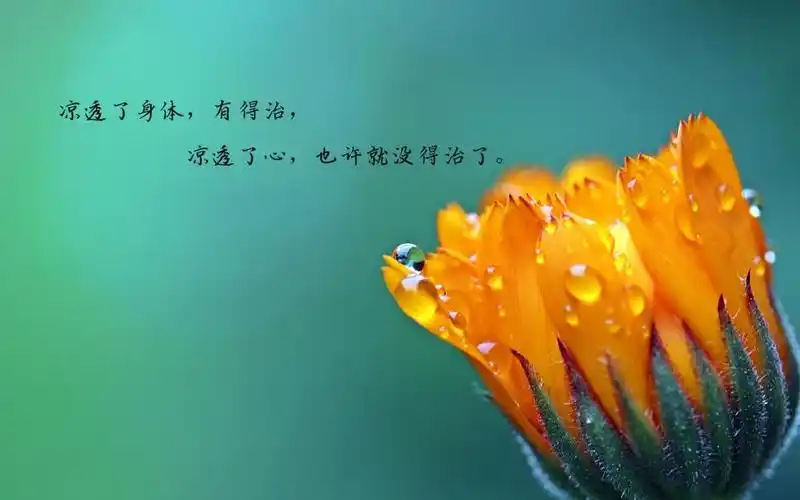 一句话让人心凉透的说说图片