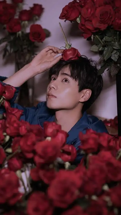 胡一天帅气手机壁纸图片-明星-手机壁纸下载-美桌网