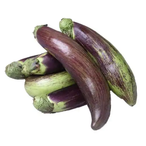 面包茄子【约1.6斤/份】