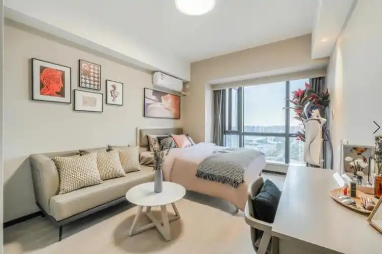 锦江区三圣乡一居室实图实拍