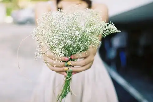 需要闺密头像两张配套 最好背景是女孩手捧樱花或者满天星