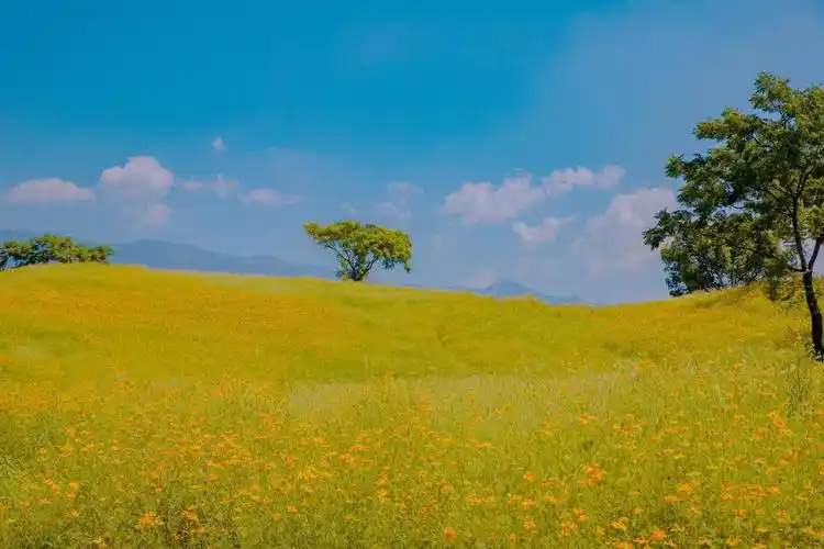 摄影师～阿斌:#治愈系风景