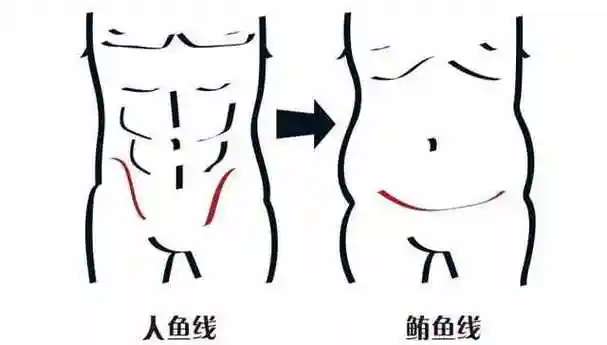 人鱼线是什么样子的肌肉人鱼线怎么练最快图