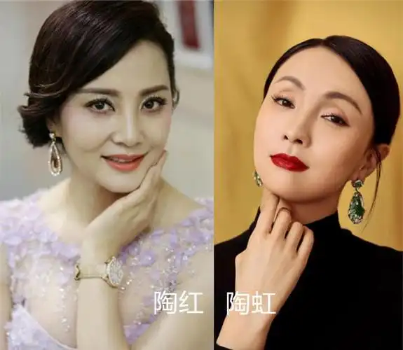 大陶红,小陶虹:事业女性&徐峥妻子