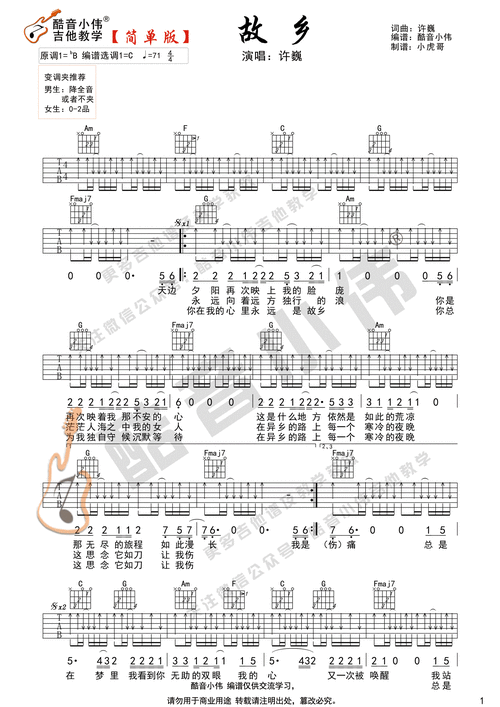 《故乡》许巍 吉他谱简单版 酷音小伟吉他弹唱教学