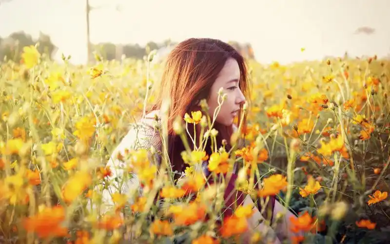 唯美,清新,安静,花朵,afklsung,美女,住在春天,森林系女孩女孩壁纸