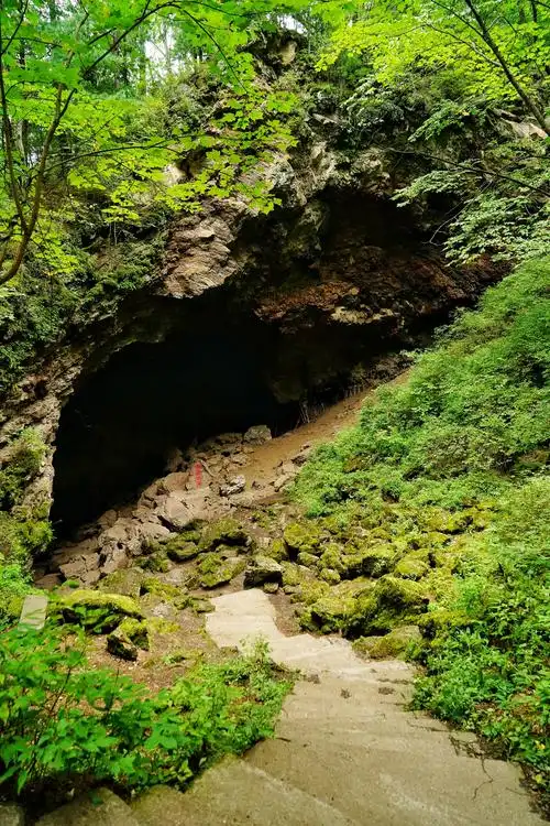 初秋的火山口地下森林